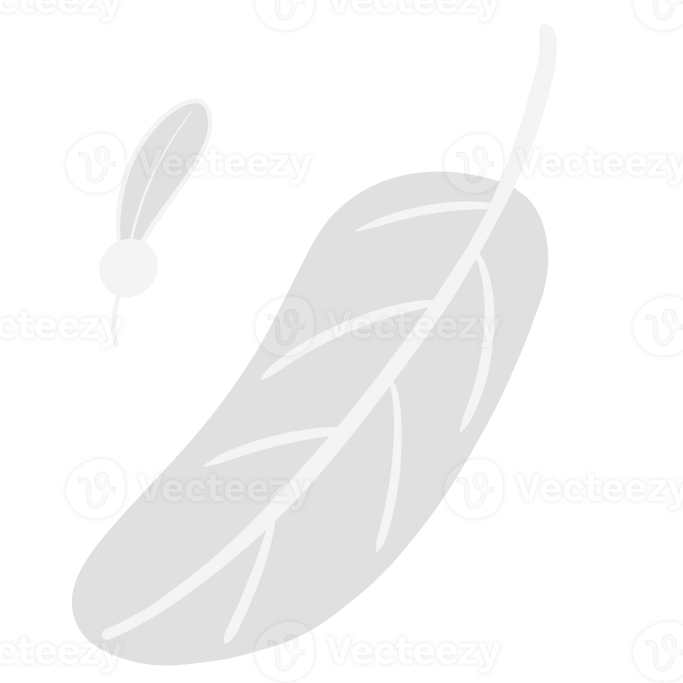 soft white feathers clip art png