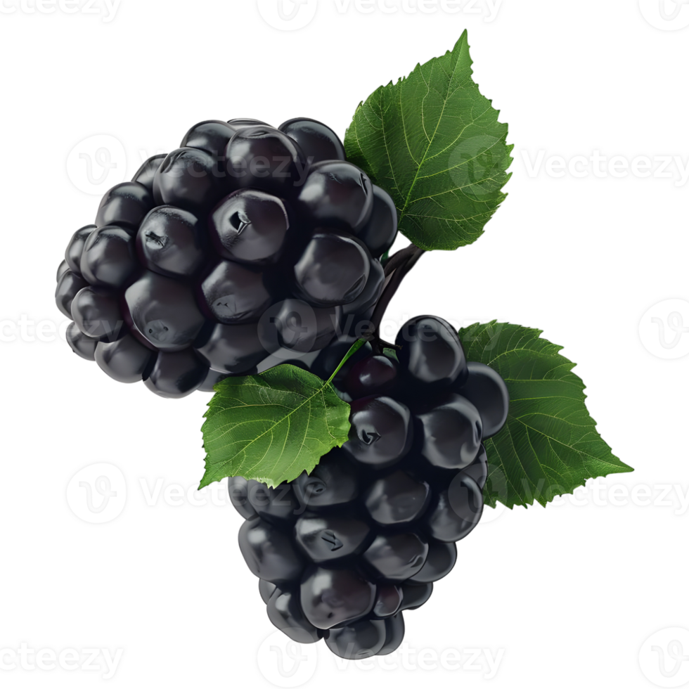 3D Rendering of a Blackberry on Transparent Background png
