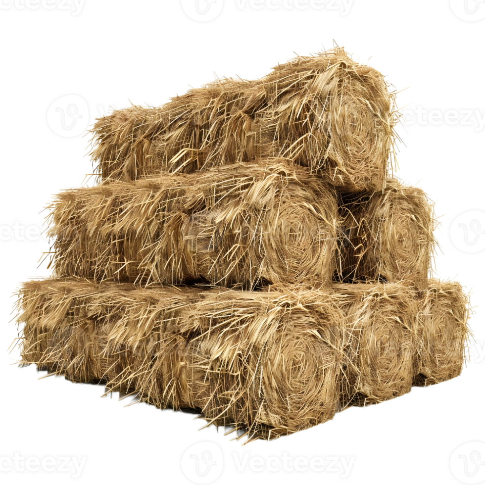 Stack of Hay on Transparent background png