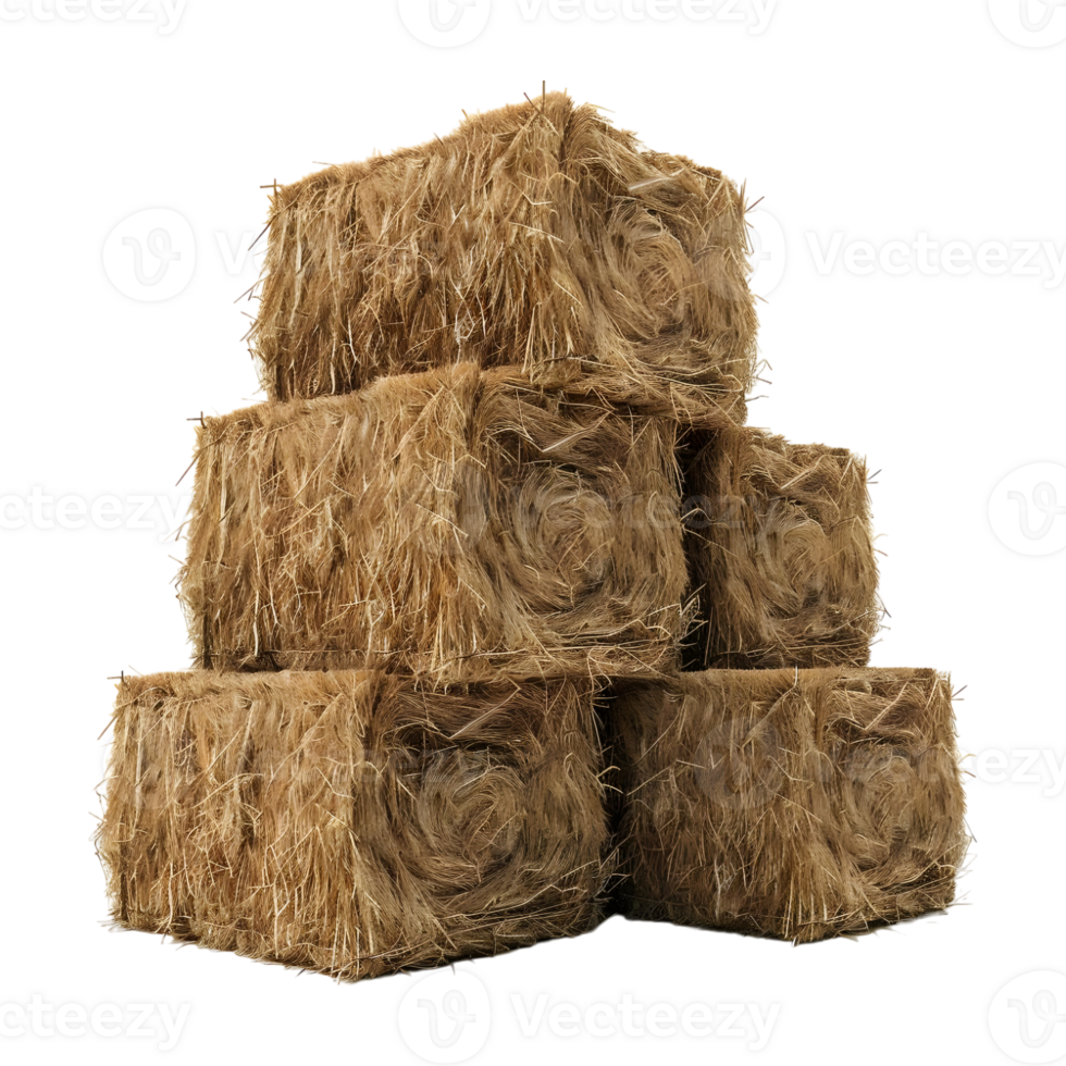Stack of Hay on Transparent background png