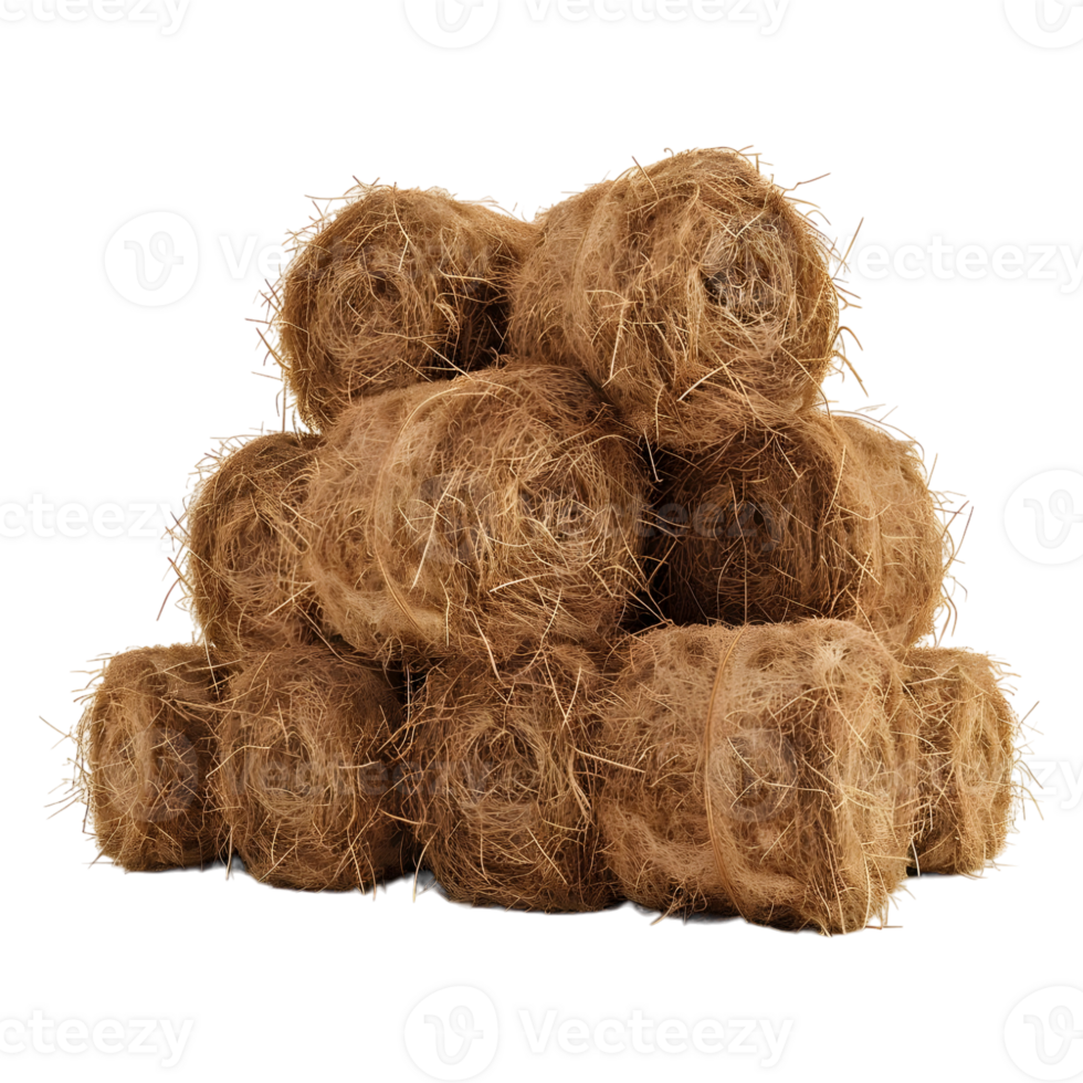 Stack of Hay on Transparent background png
