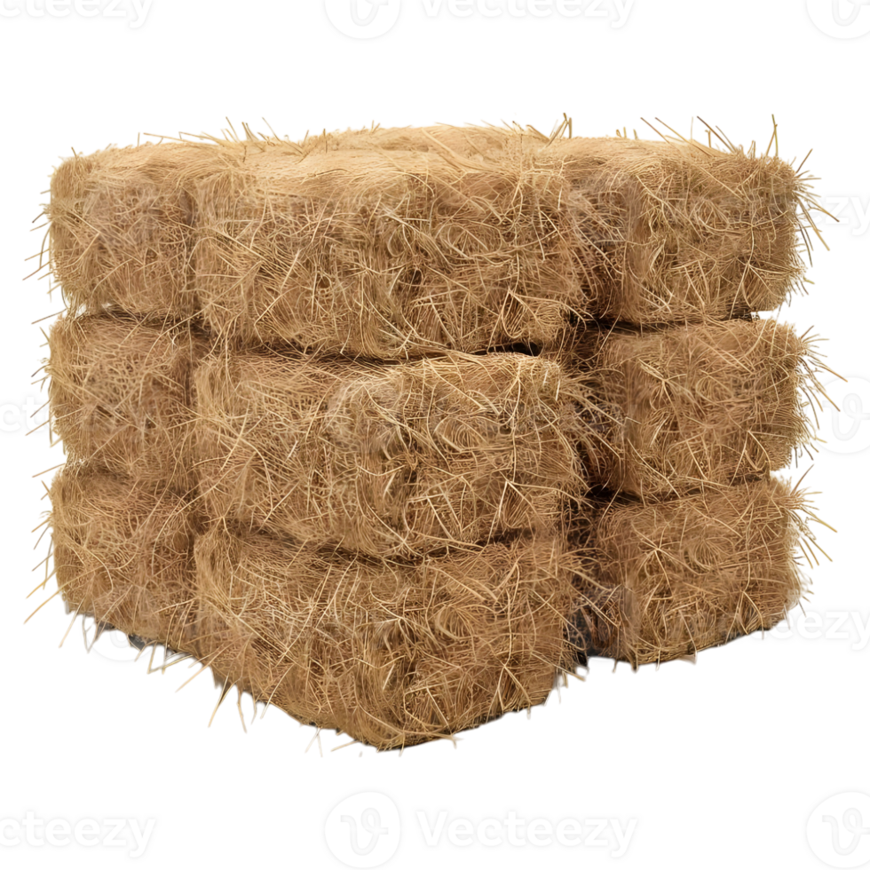 Stack of Hay on Transparent background png