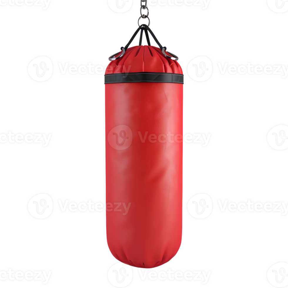 3D Rendering of a Punching Bag on Transparent Background png