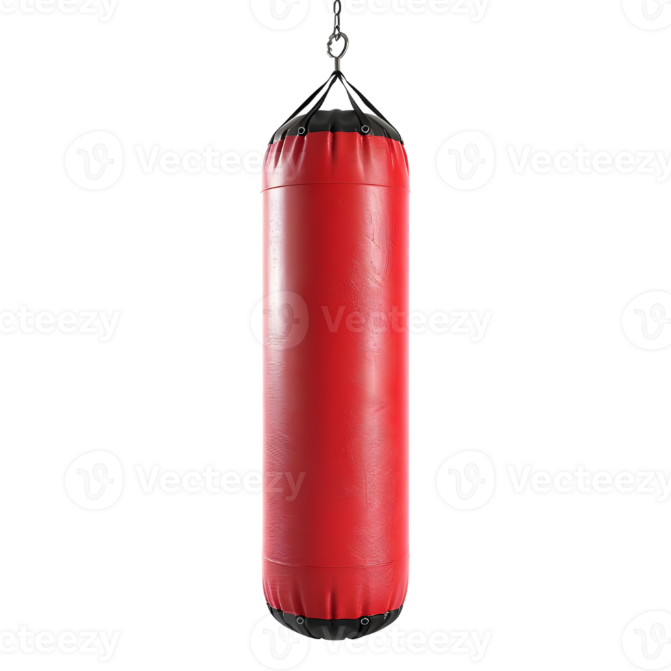 3D Rendering of a Punching Bag on Transparent Background png