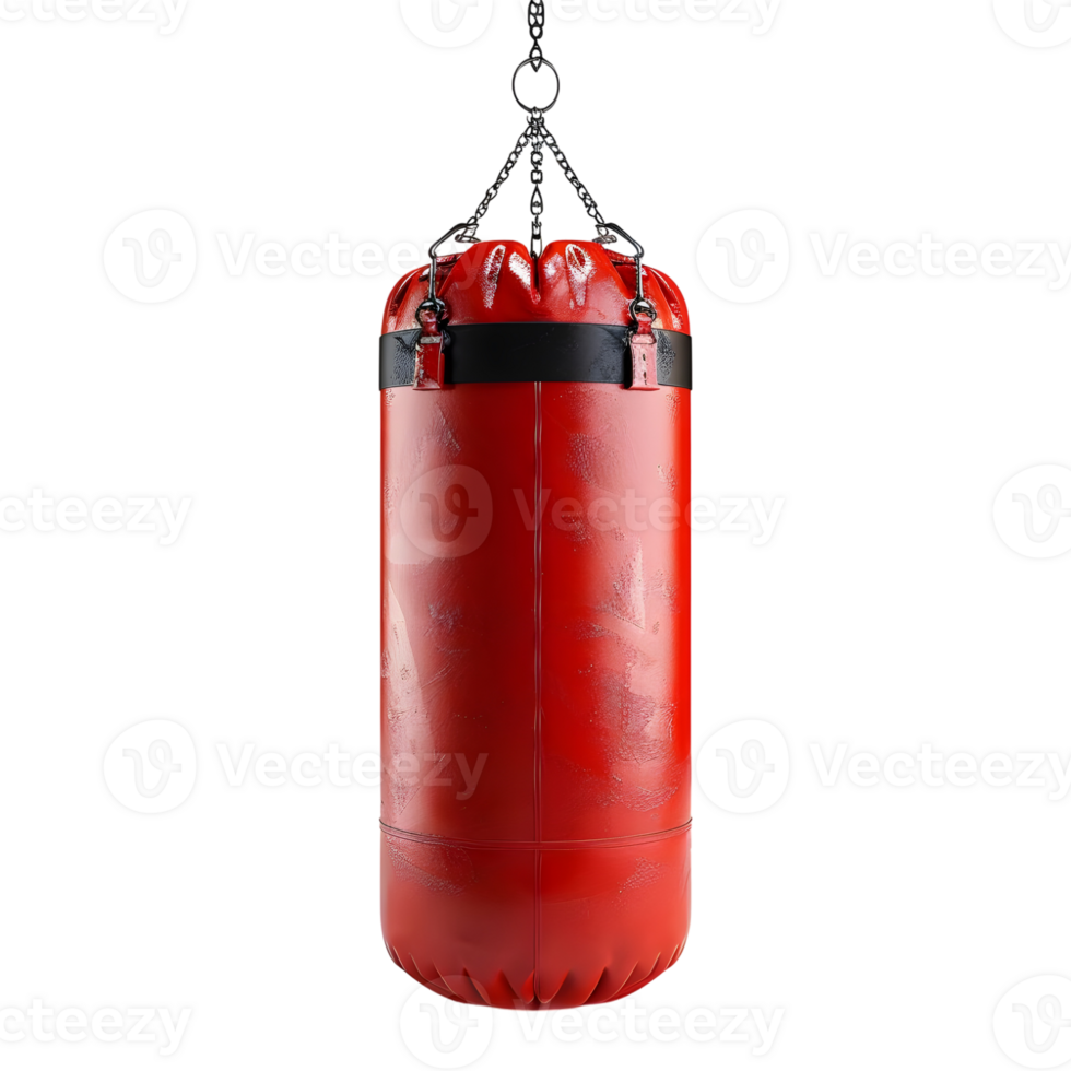 3D Rendering of a Punching Bag on Transparent Background png