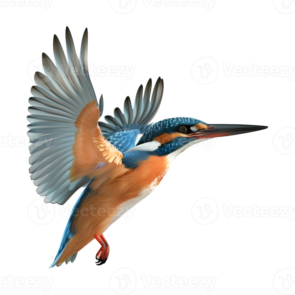 3D Rendering of a Kingfisher Bird on Transparent Background png
