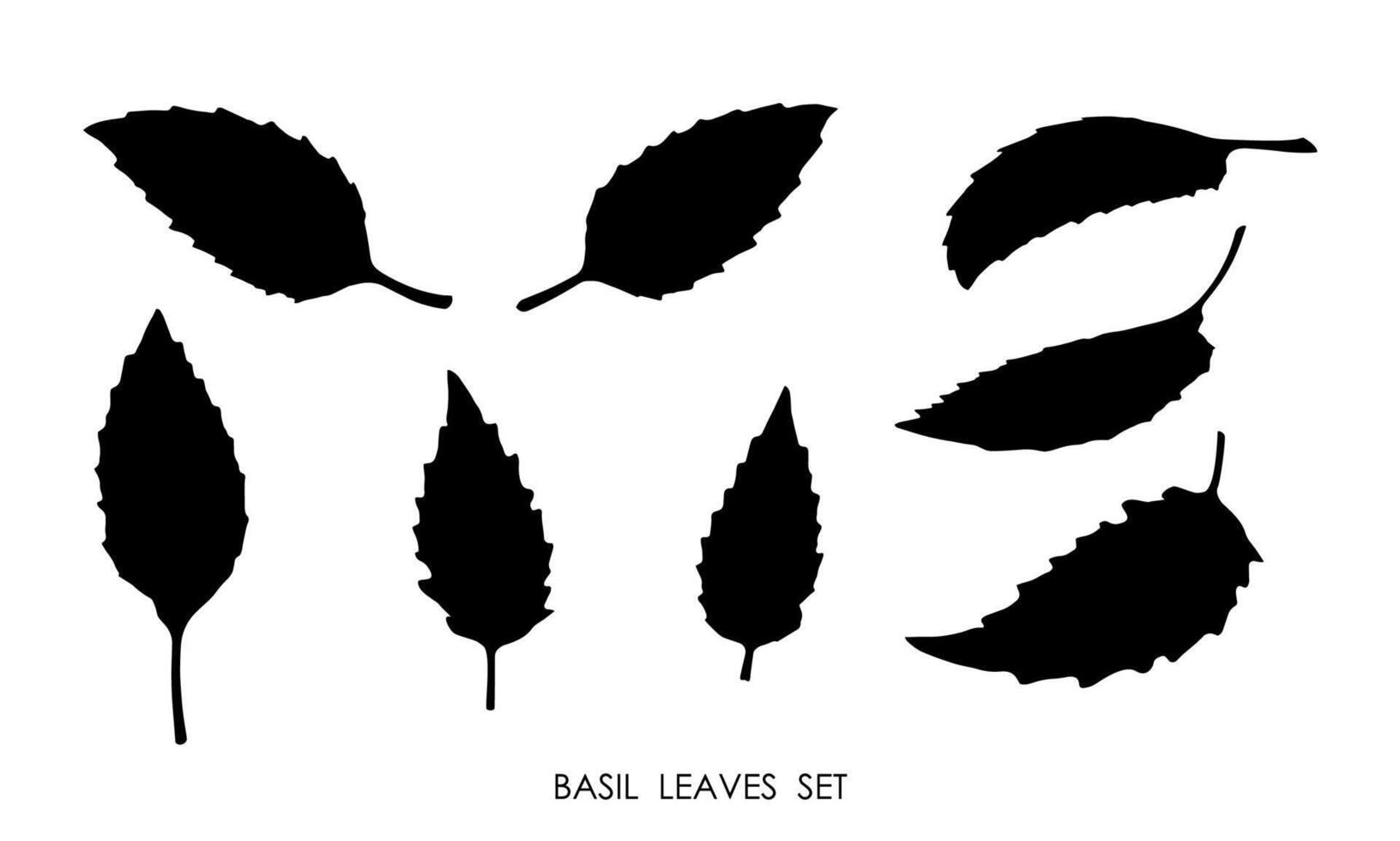 Black silhouettes of basil grass leaves isolated on white background. Edible plants, seasoning for delicious food. Stencil vector
