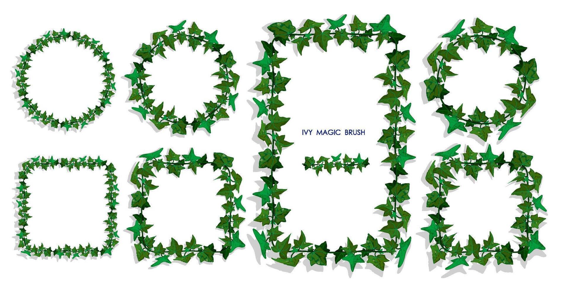 hiedra liana césped cepillo con verde hojas. realista cepillo para decorando marcos, invitación tarjetas vector