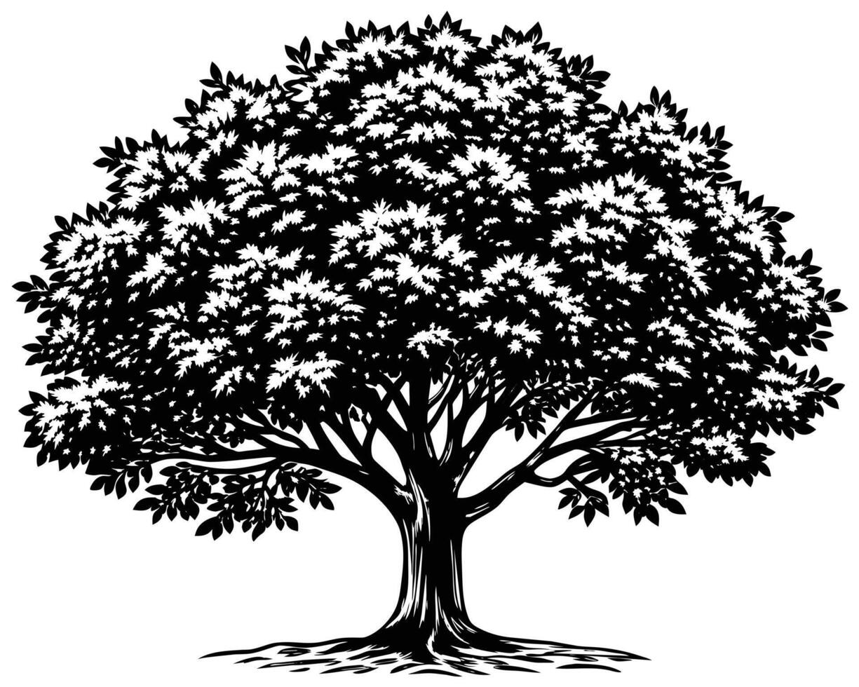 Tree Illustration Drawing vector