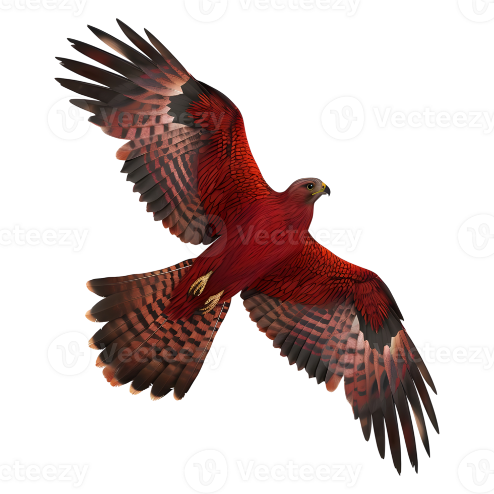 3D Rendering of a Red Hawk Bird on Transparent Background png