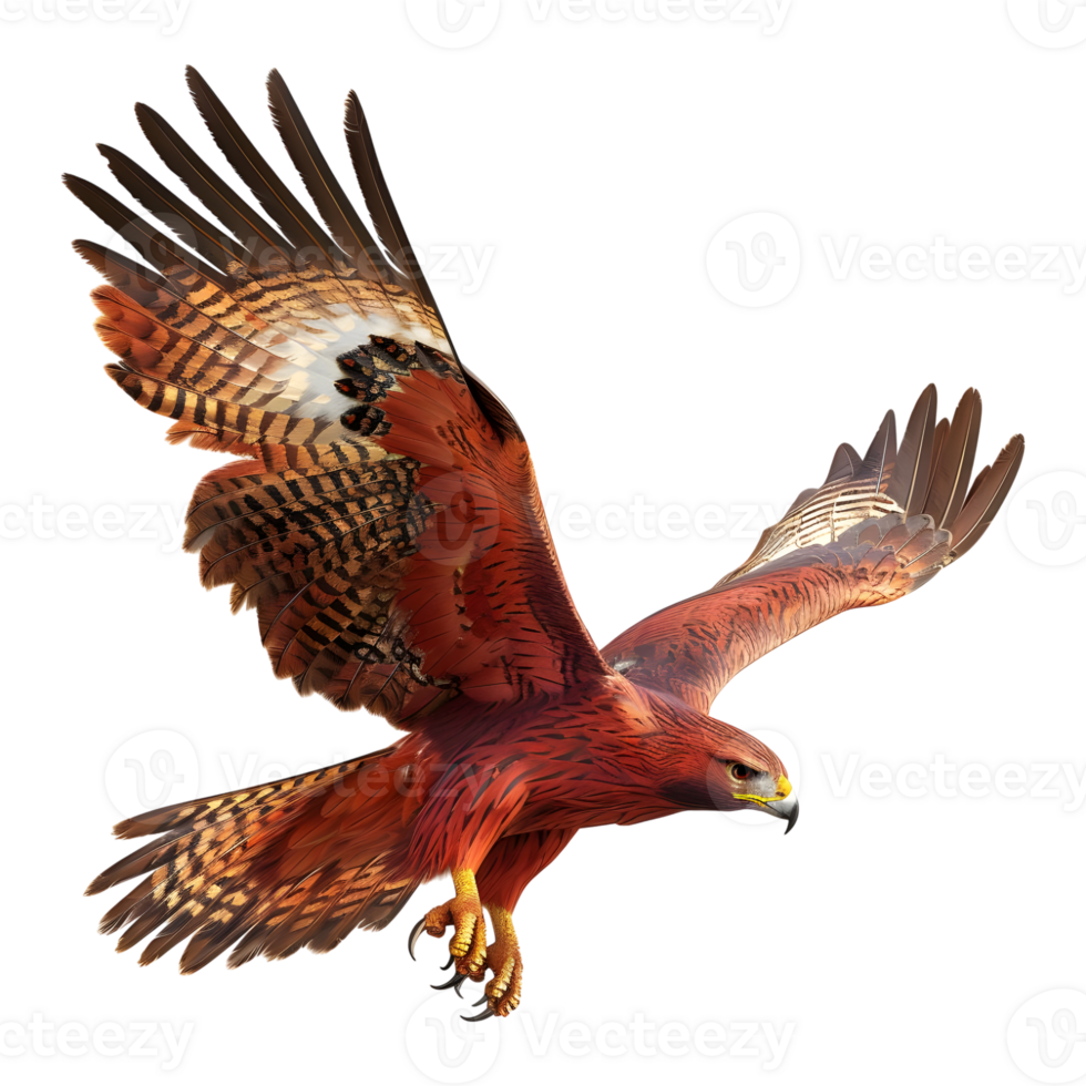 3D Rendering of a Red Hawk Bird on Transparent Background png