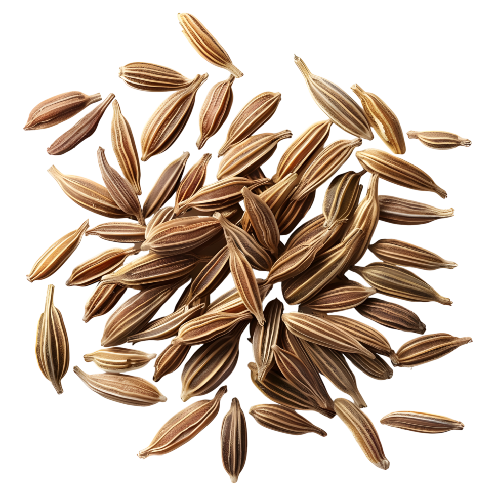 Coriander Seeds on Transparent background png