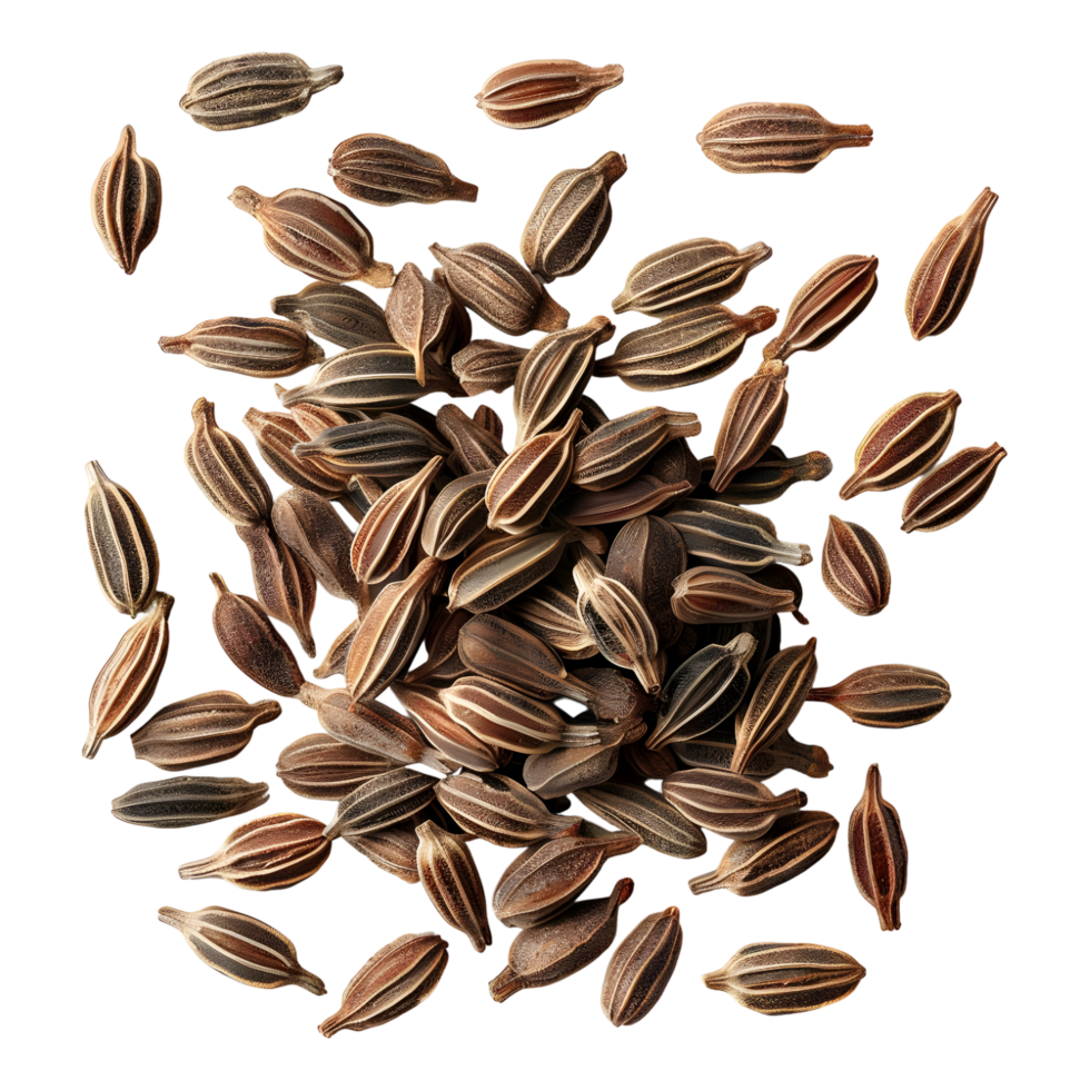 Coriander Seeds on Transparent background png