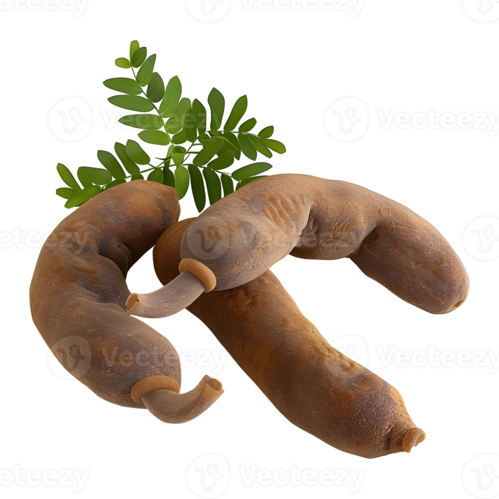 3D Rendering of a Tamarind on Transparent Background png