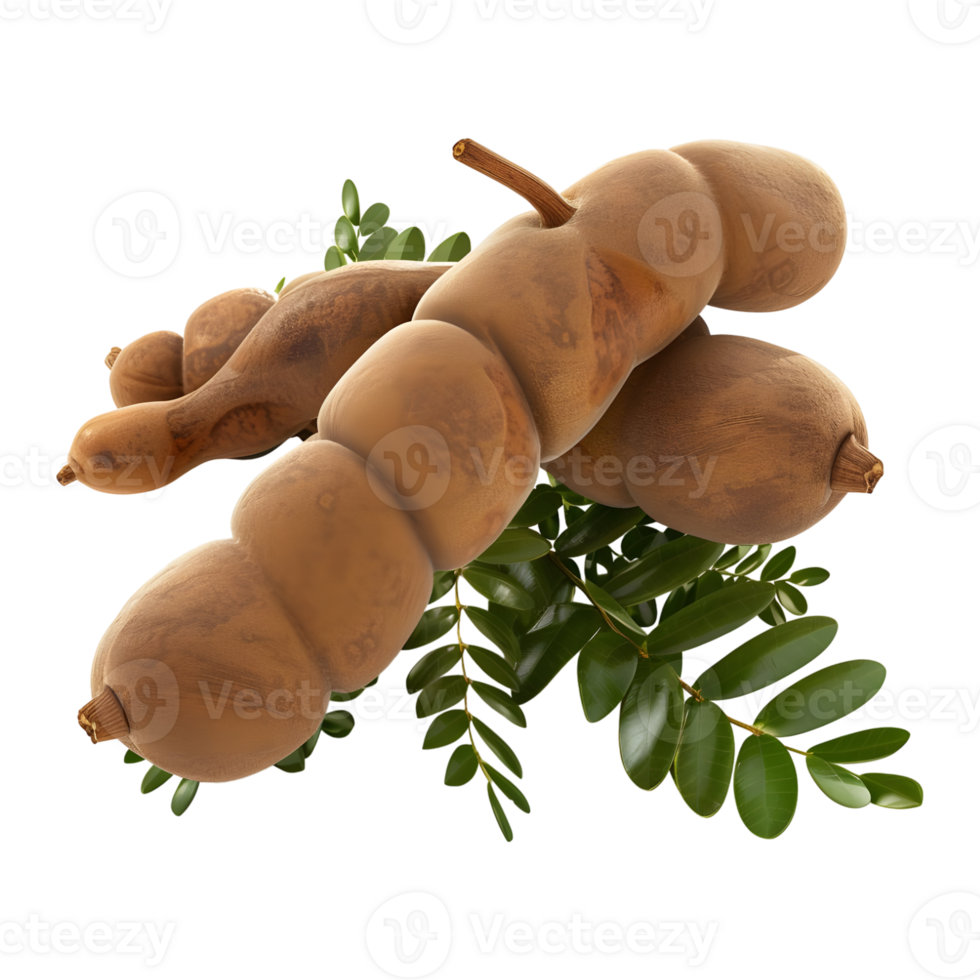 3D Rendering of a Tamarind on Transparent Background png