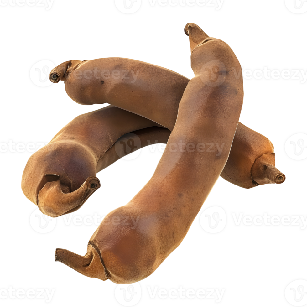 3D Rendering of a Tamarind on Transparent Background png