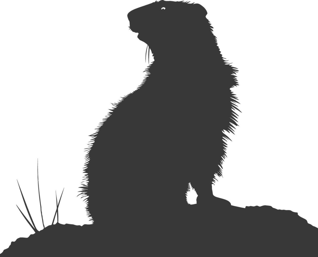 Silhouette marmot animal black color only full body vector