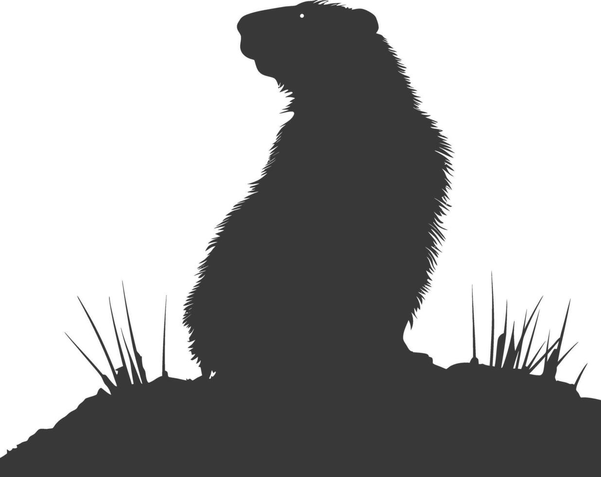 Silhouette marmot animal black color only full body vector