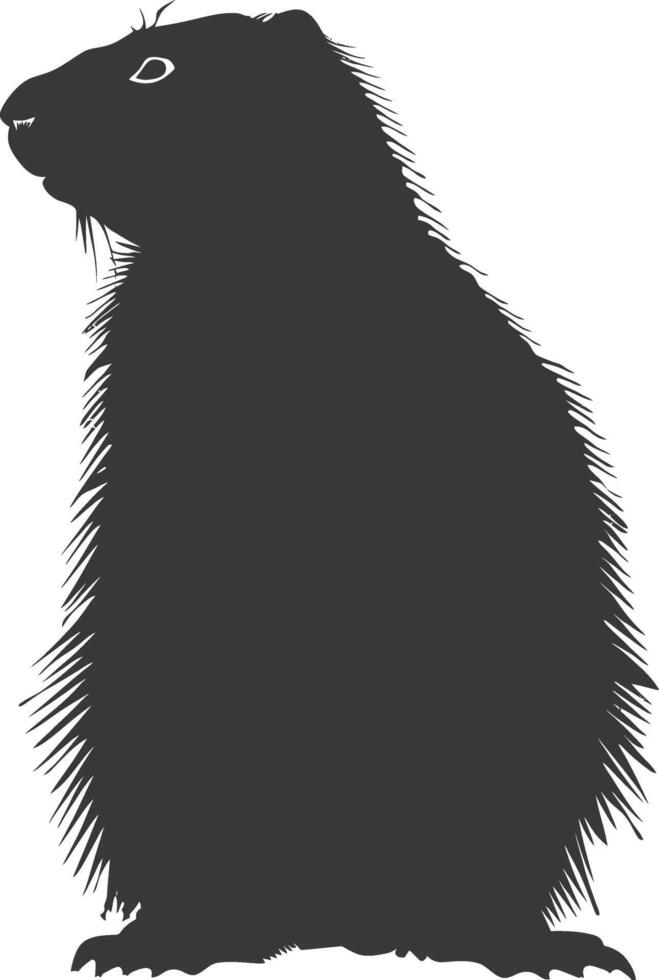 Silhouette marmot animal black color only full body vector