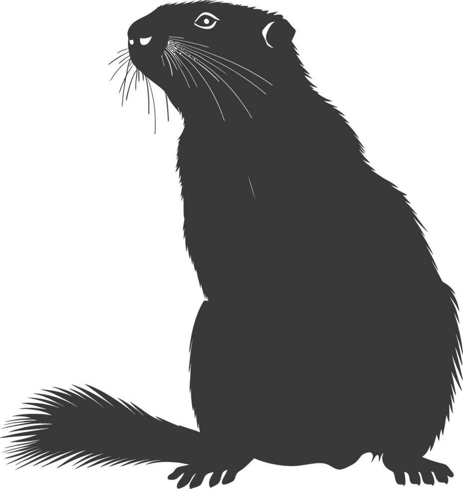 Silhouette marmot animal black color only full body vector
