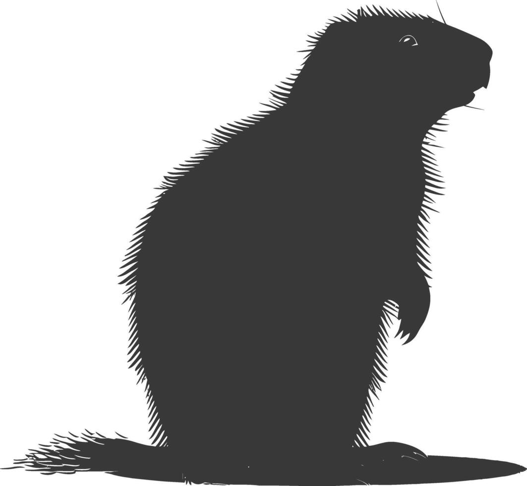 Silhouette marmot animal black color only full body vector