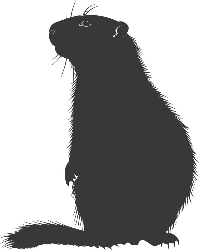 Silhouette marmot animal black color only full body vector