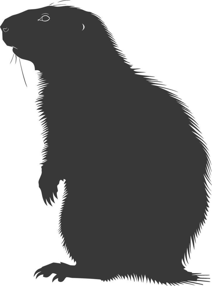 Silhouette marmot animal black color only full body vector
