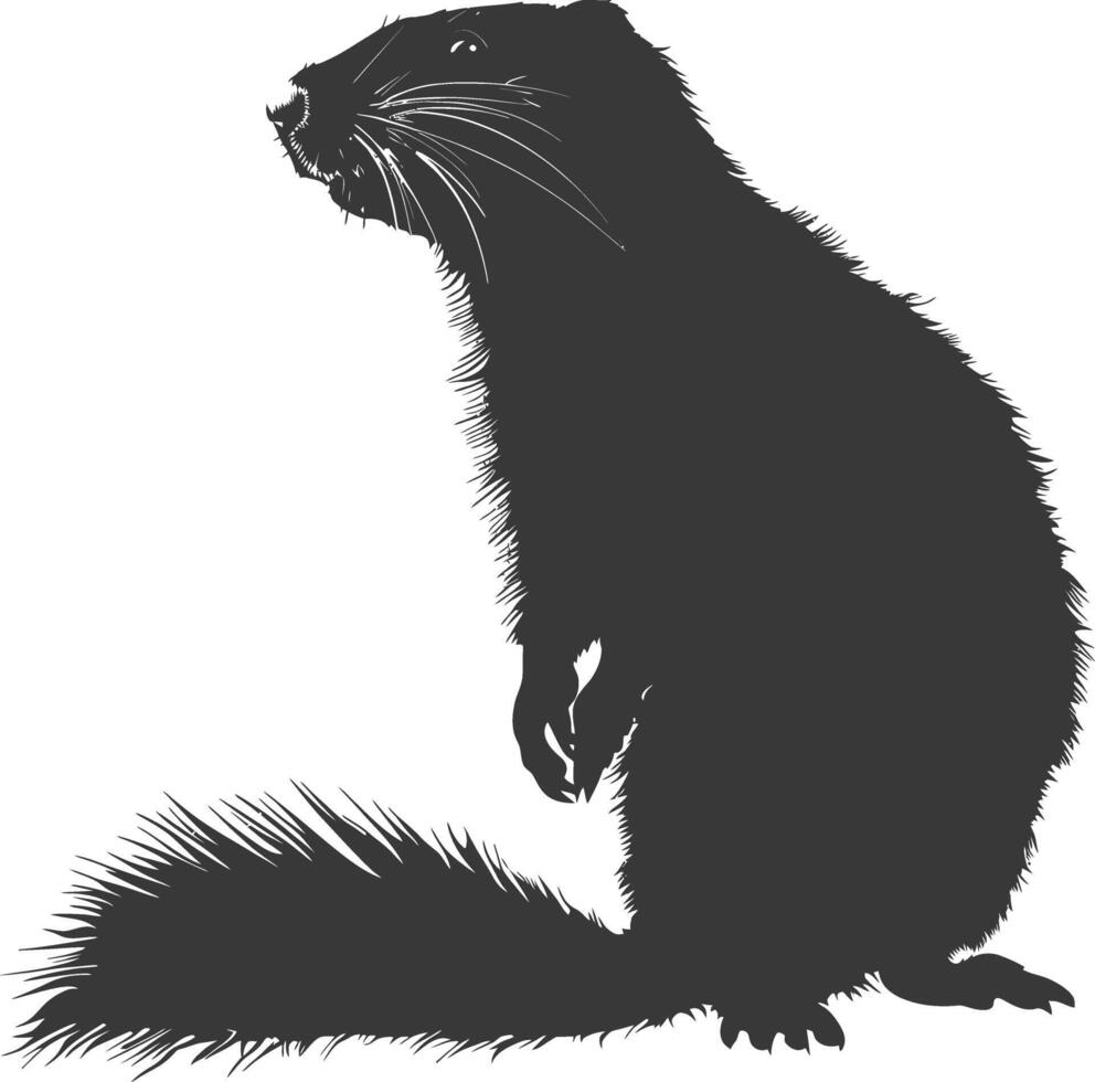 Silhouette marmot animal black color only full body vector