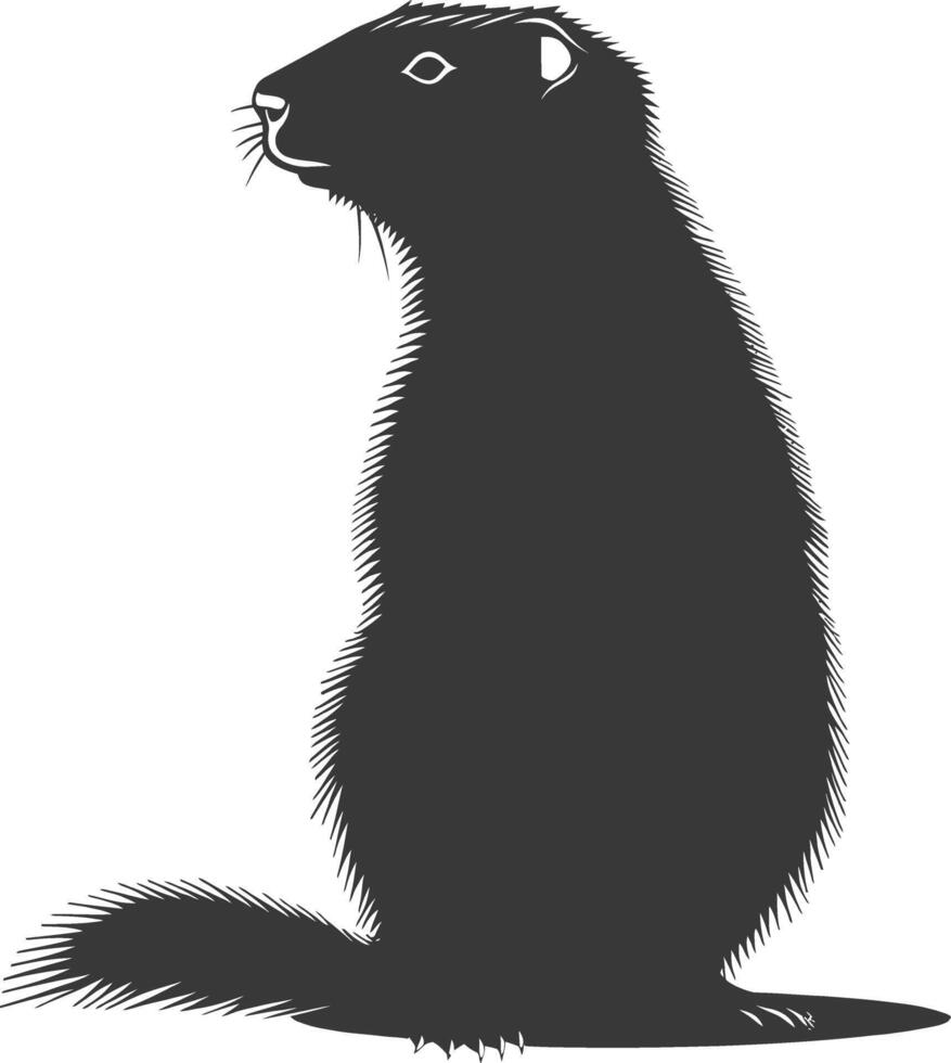 Silhouette marmot animal black color only full body vector