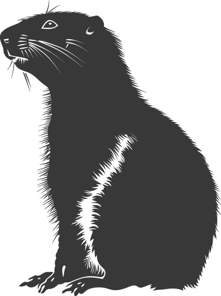 Silhouette marmot animal black color only full body vector
