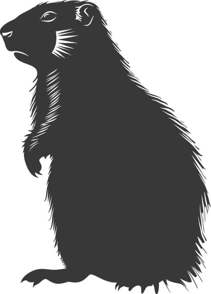 Silhouette marmot animal black color only full body vector