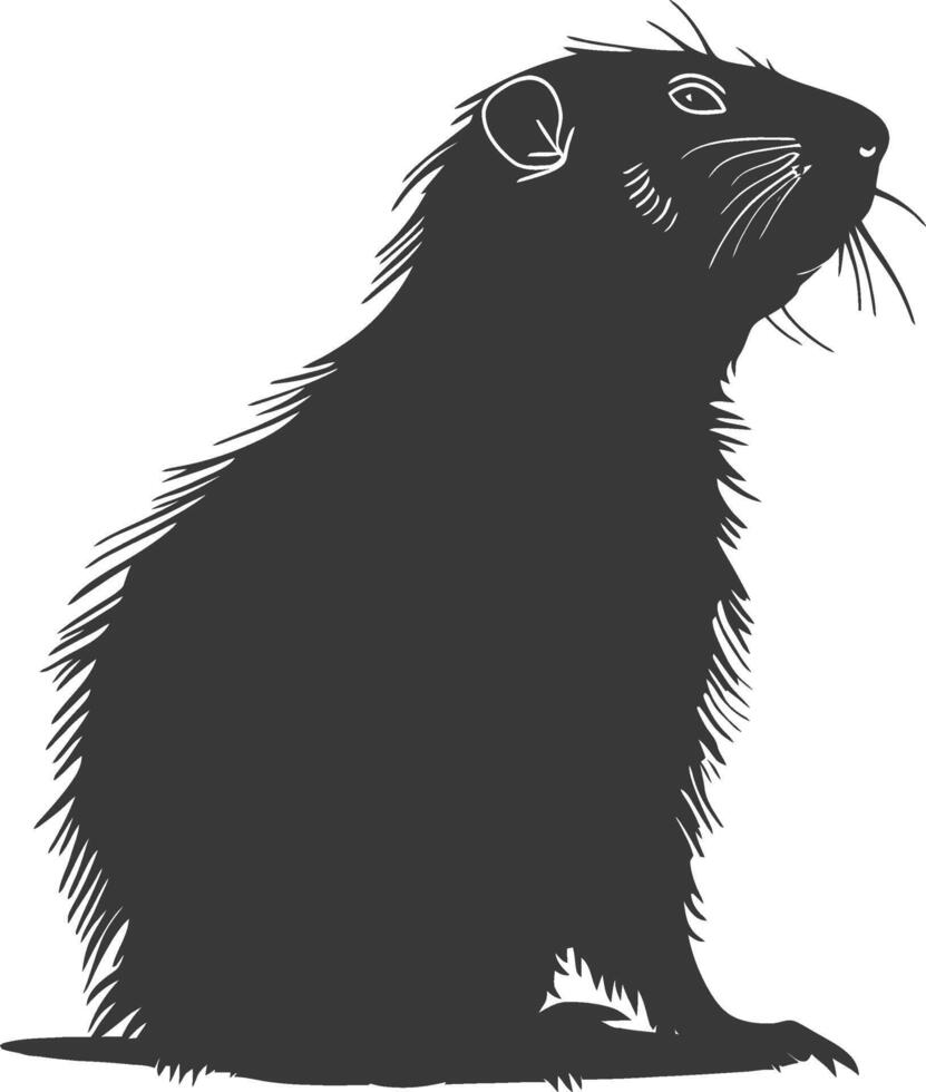 Silhouette marmot animal black color only full body vector