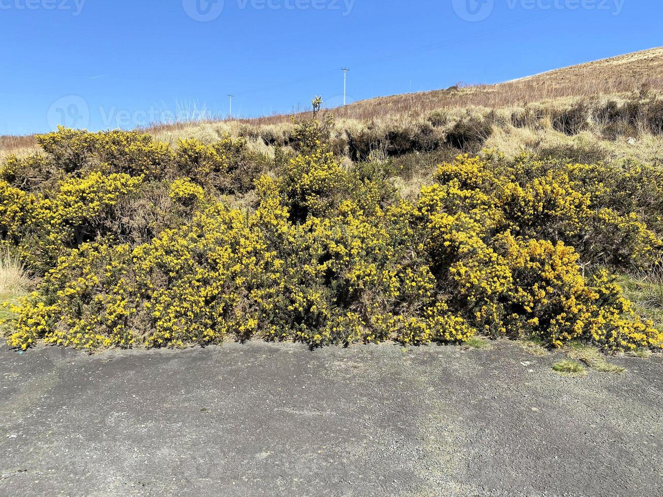 A view of the Isle of Arran in Scotland on a sunny day photo