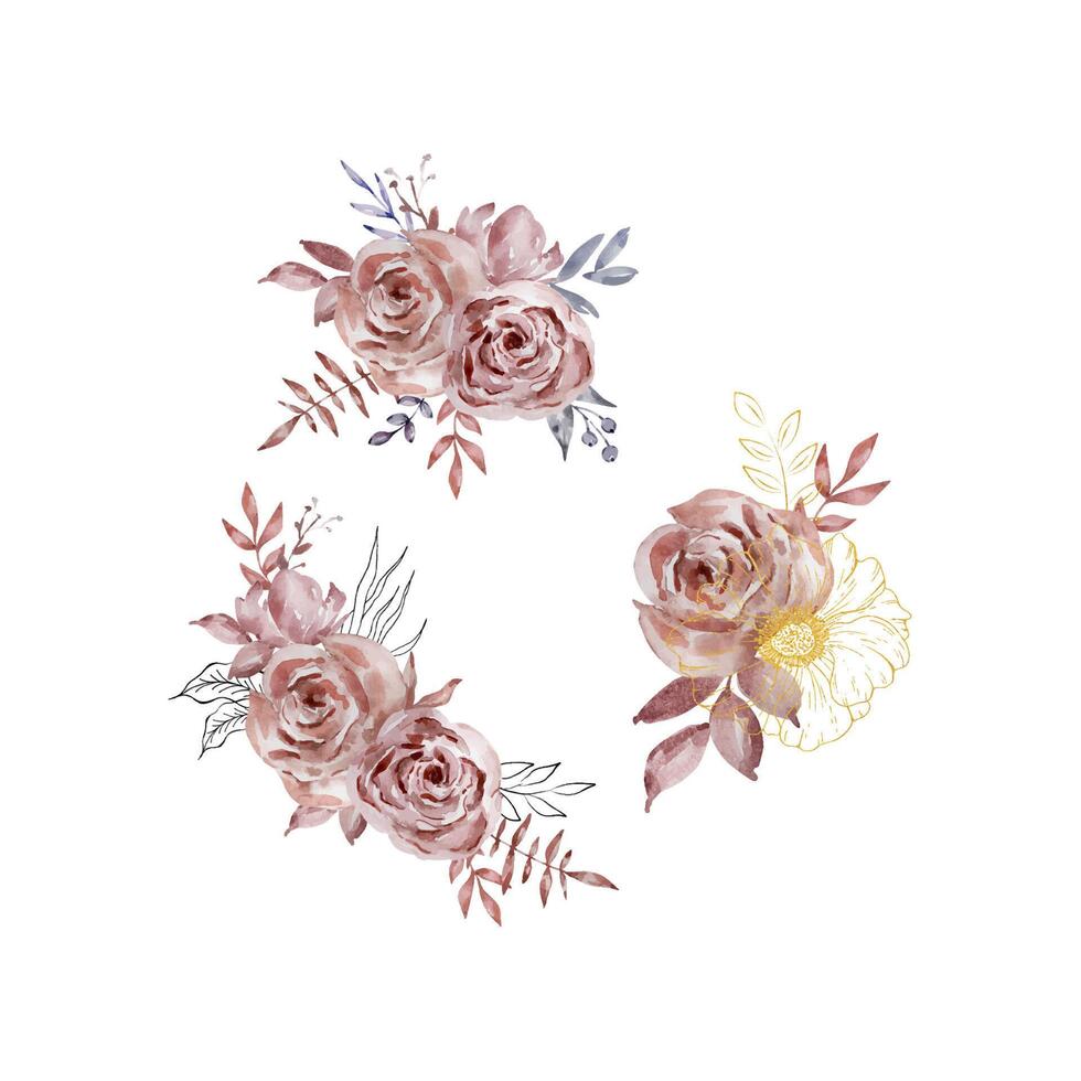 Watercolor set of bouquets dark roses vector