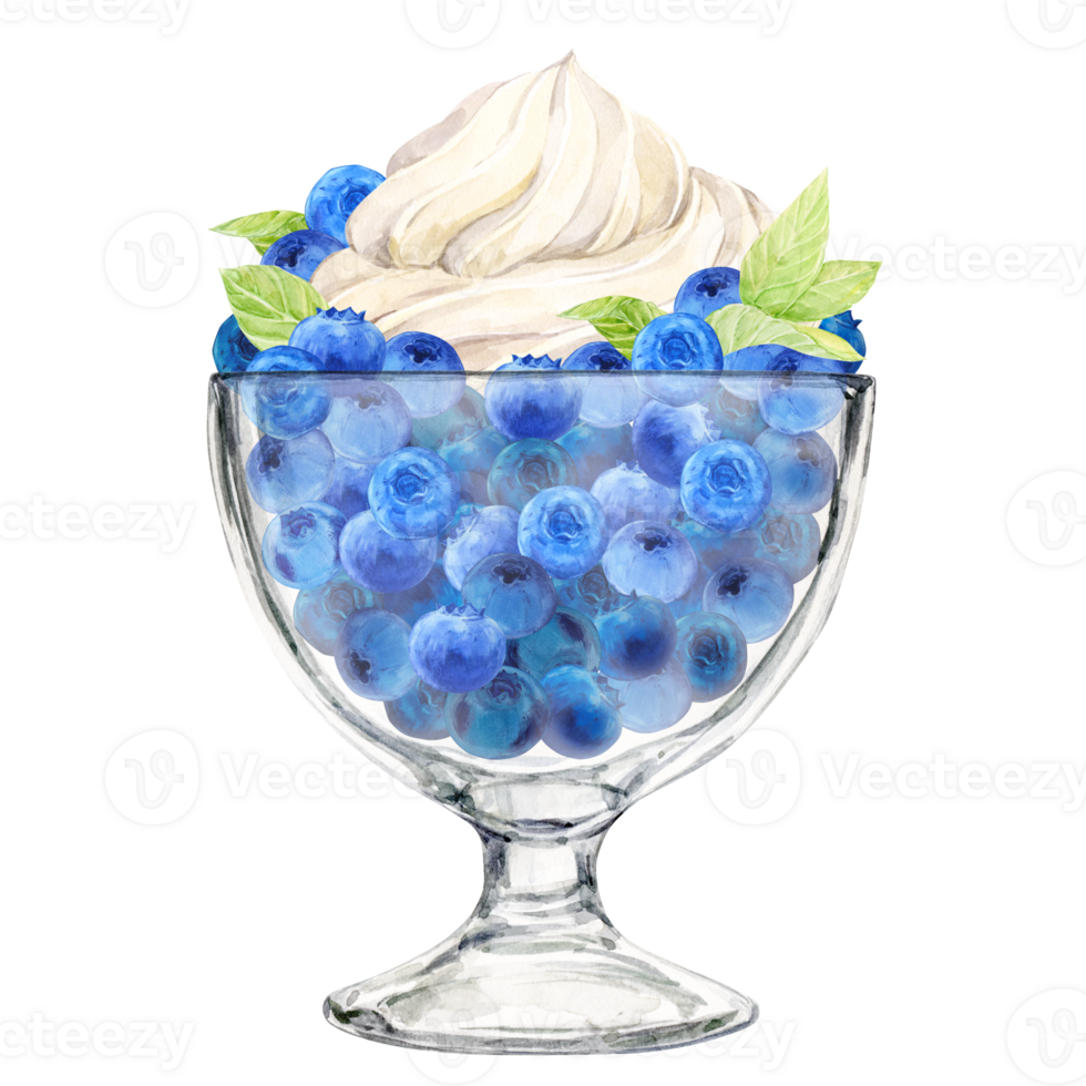 Ripe blueberries in a dessert glass and a beautiful whipped cream top on top. Watercolor illustration. Refreshing summer dessert, frozen yogurt and berries, mint. Clipart for cafe, restaurant menu png