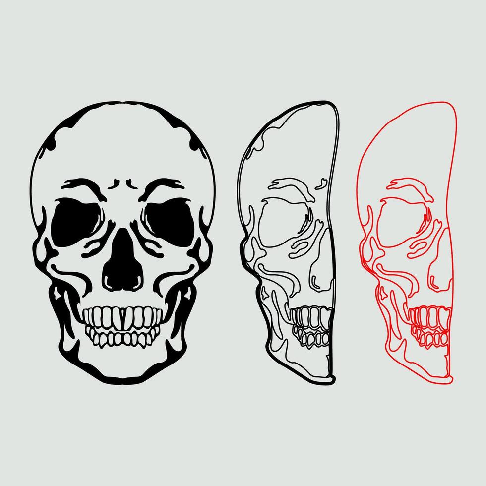 Streetwear Design with Skull Illustration vector