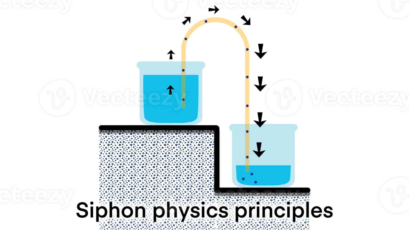 Siphon physics principles, A siphon is any of a wide variety of devices that involve the flow of liquids through tubes, Siphon principle, chemistry and physics, Siphon physics principles diagram png