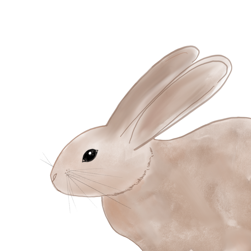 A Brown Rabbit on a Transparent Background png