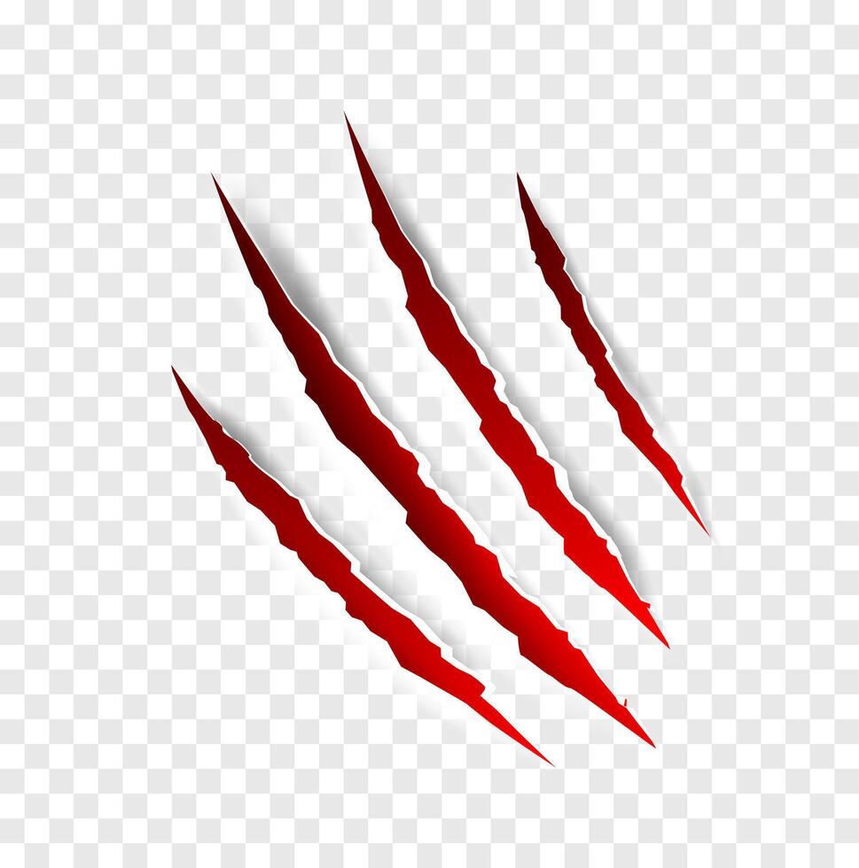 Claws scratches - isolated vector