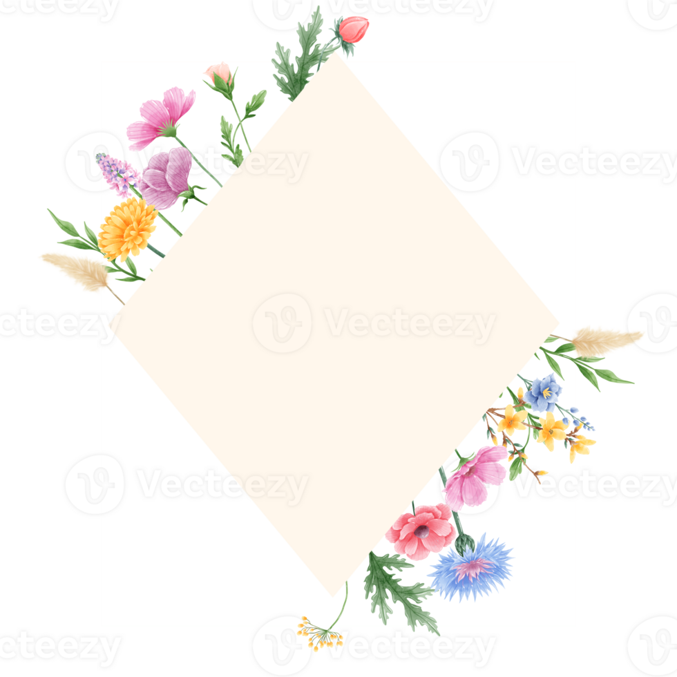 Handdrawn watercolor illustration clipart of detailed Spring Wildflowers meadow frame border collection Floral arrangements greeting cards wedding invitation Elegant ethereal nature png