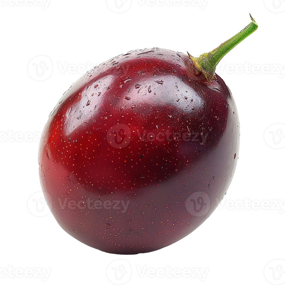 fresco tamarillo transparente foto png