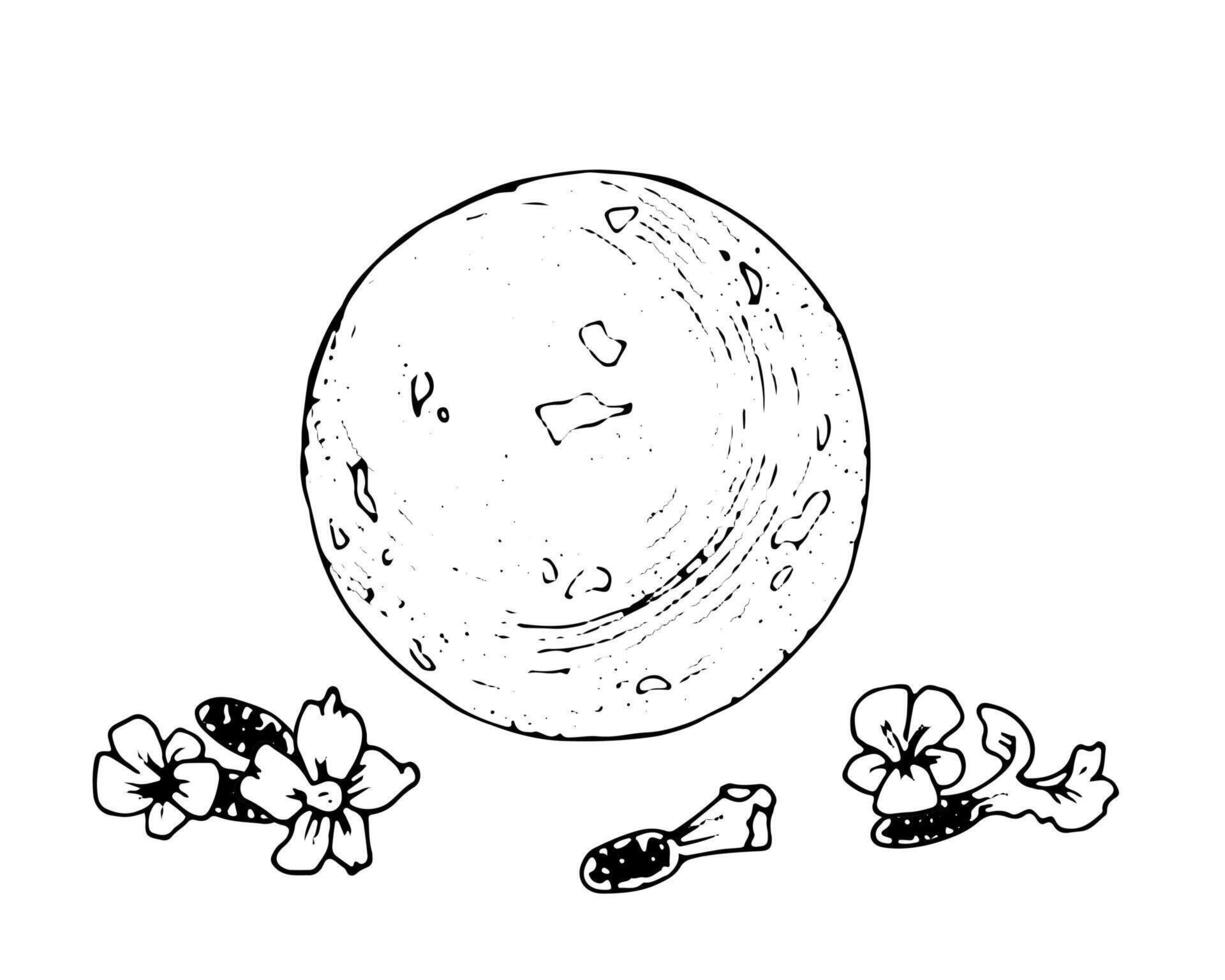 Bath Bomb illustration. Hand drawn ball with herbs and flowers for spa. Outline illustration of handmade lavender cosmetics. Black and white line art sketch. Drawing on isolated background vector