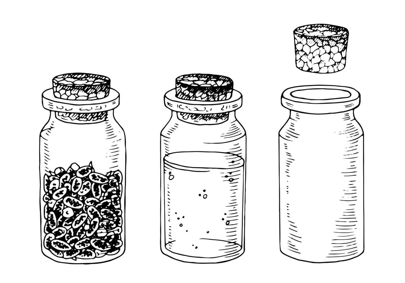 Essential Oil bottles set. Black line art drawing of medicinal flower extract. Outline illustration of dried lavender. Sketch on isolated white background. Hand drawn editable clipart vector