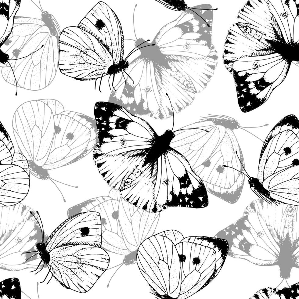 White Butterfly Pattern. Vintage seamless background. Black line art drawing of insect wings. Outline illustration of flying moth. Hand drawn cute animal. Print for birthdays and weddings vector