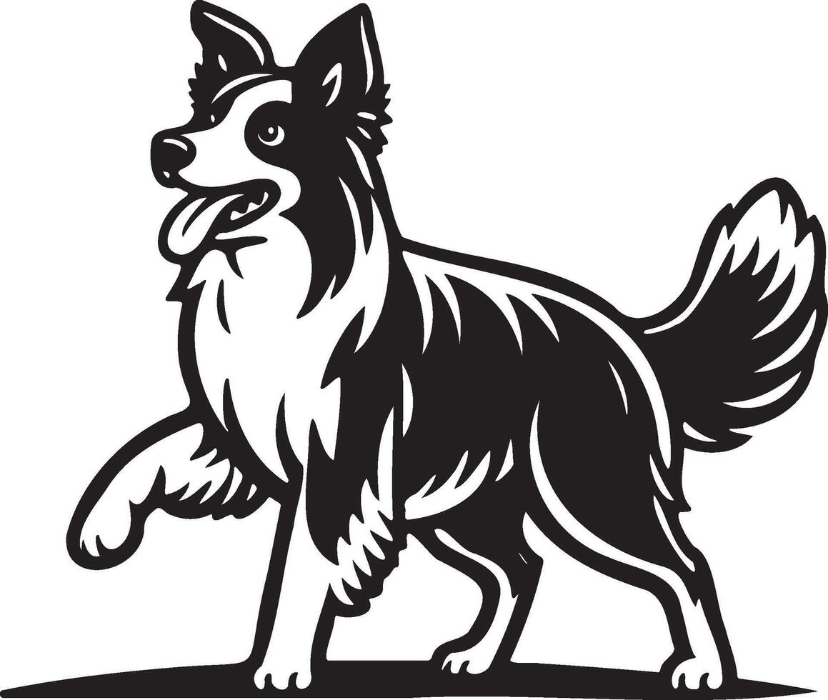 Border Collie Dog Illustration. vector