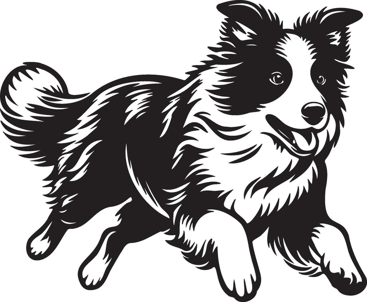 Border Collie Dog Illustration. vector