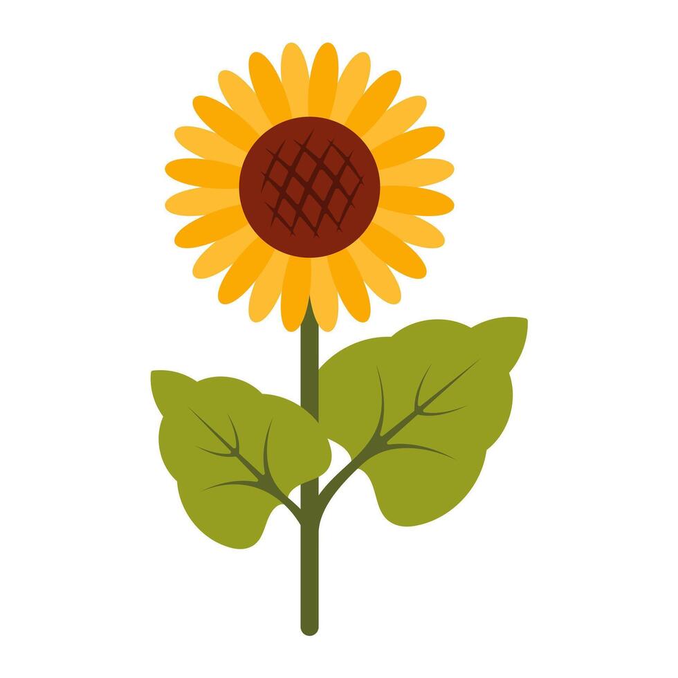 Yellow sunflower in full bloom with leaves. Botanical clipart in flat style. Illustration in cottage core isolated on white background. Perfect for cards, logo, decorations, spring and summer designs. vector