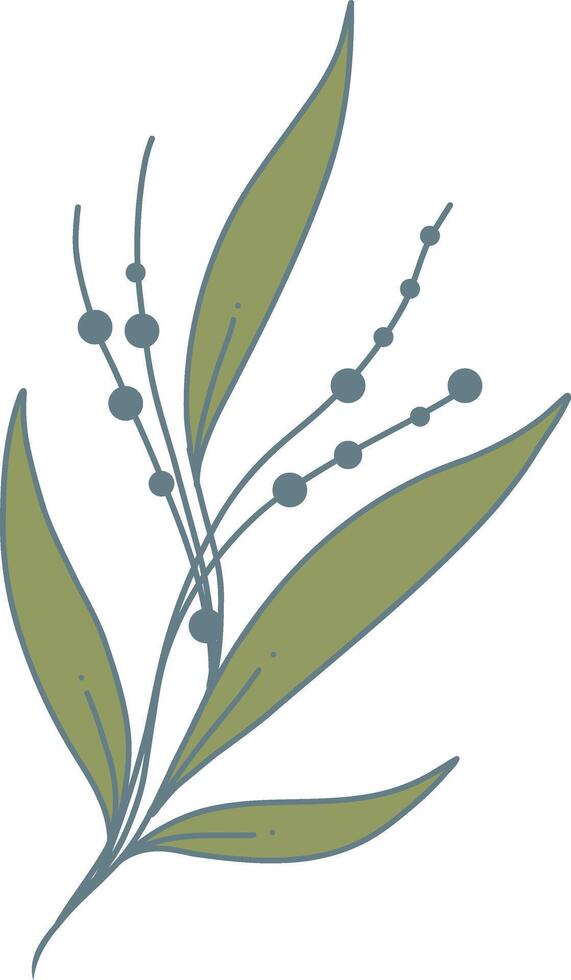 Hand Drawn Floral Botanical Branch. Isolated on White Background. Isolated Element vector