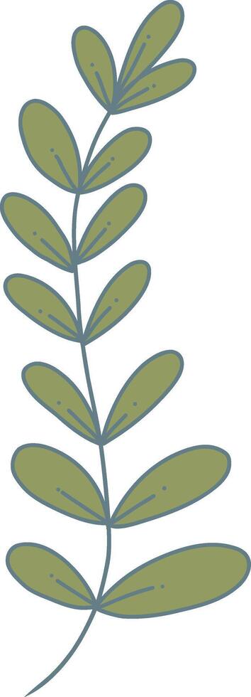 Hand Drawn Floral Botanical Branch. Isolated on White Background. Isolated Element vector