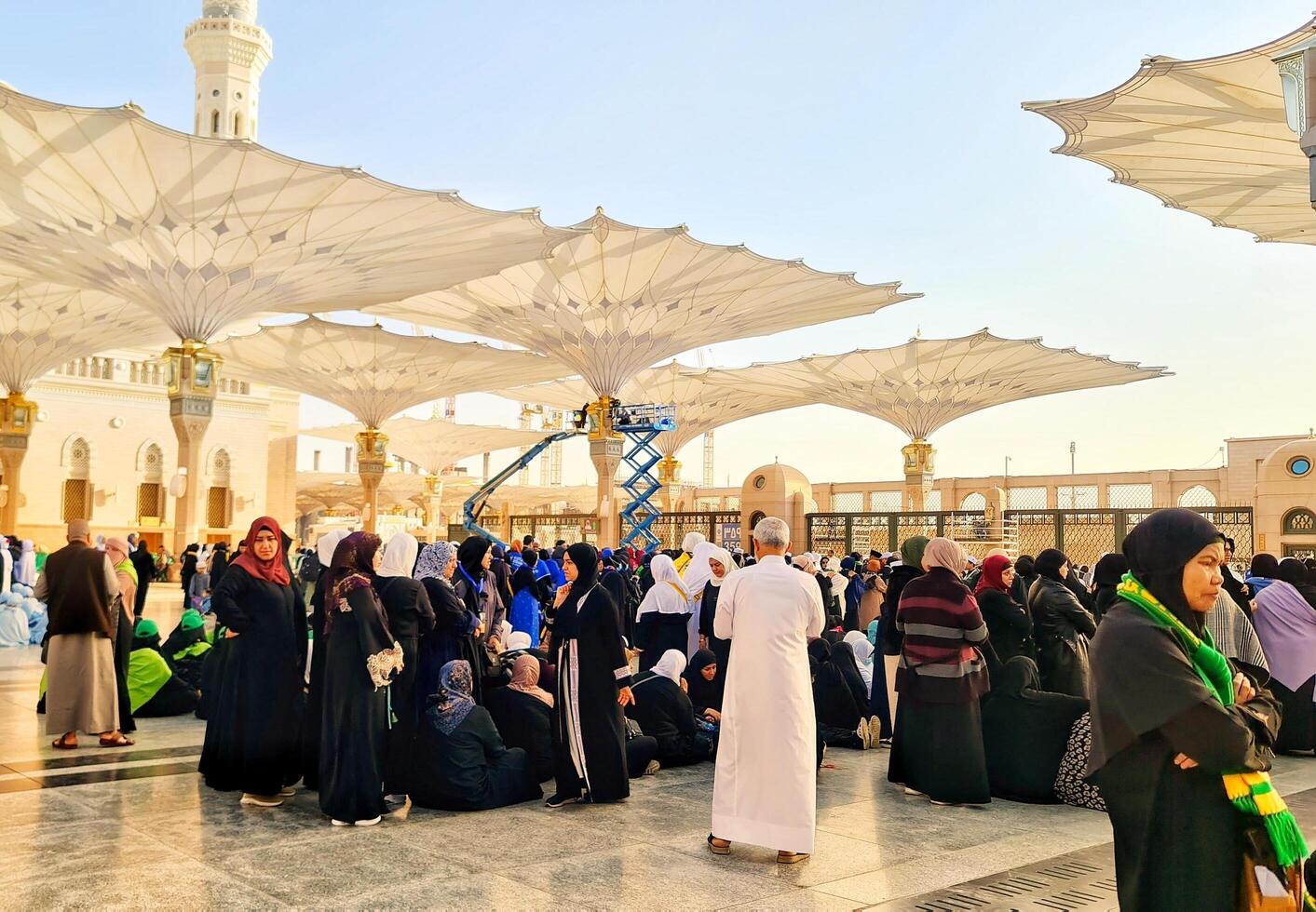 Medina, Saudi Arabia on March 1, 2024. Umbrellas spread across the Medina Haram Piazza or Al-Masjid An-Nabawi Umbrellas are open umbrellas erected in the Al-Masjid an-Nabawi square, Medina, Arab photo